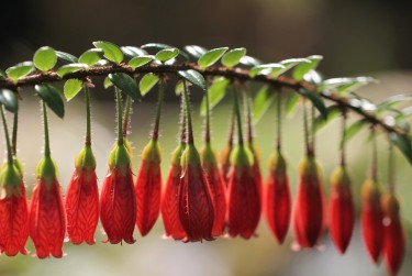 佛山三水区9私人快速借钱网，轻松解决资金难题