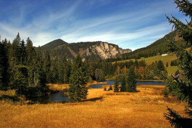 佛山三水区9民间私贷攻略：揭秘低成本借贷的秘密