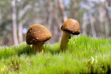 佛山三水区9私人老板放款：轻松融资的秘密通道